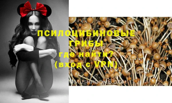 таблы Арсеньев